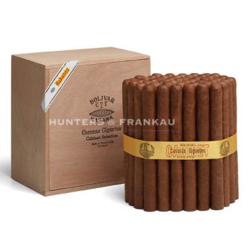 Bolivar Corona Giginates - Pack of 50